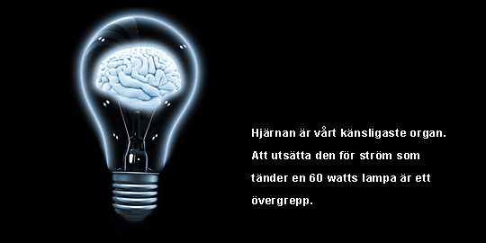hj&auml;rna i lampa