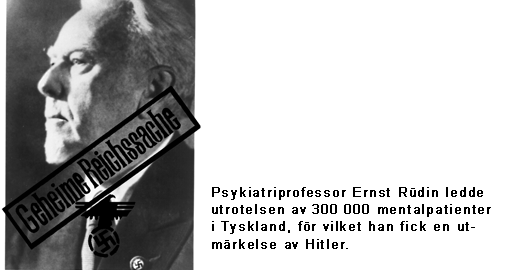 Ernst Rudin