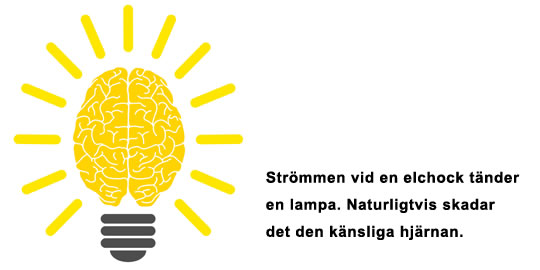 lamphj&auml;rna