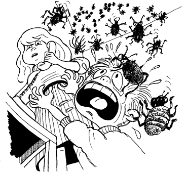 insekter